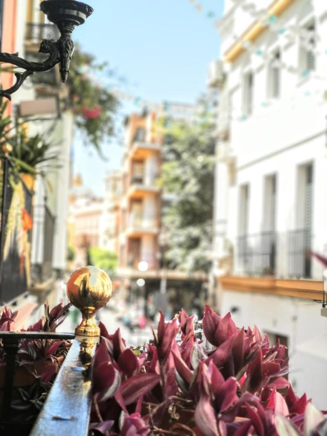 Casa Alfalfa 2 Dormitorios Terraza Y Solarium Privado 세비야 외부 사진