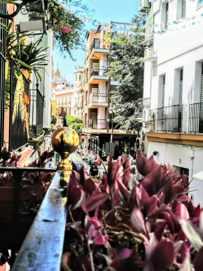 Casa Alfalfa 2 Dormitorios Terraza Y Solarium Privado 세비야 외부 사진